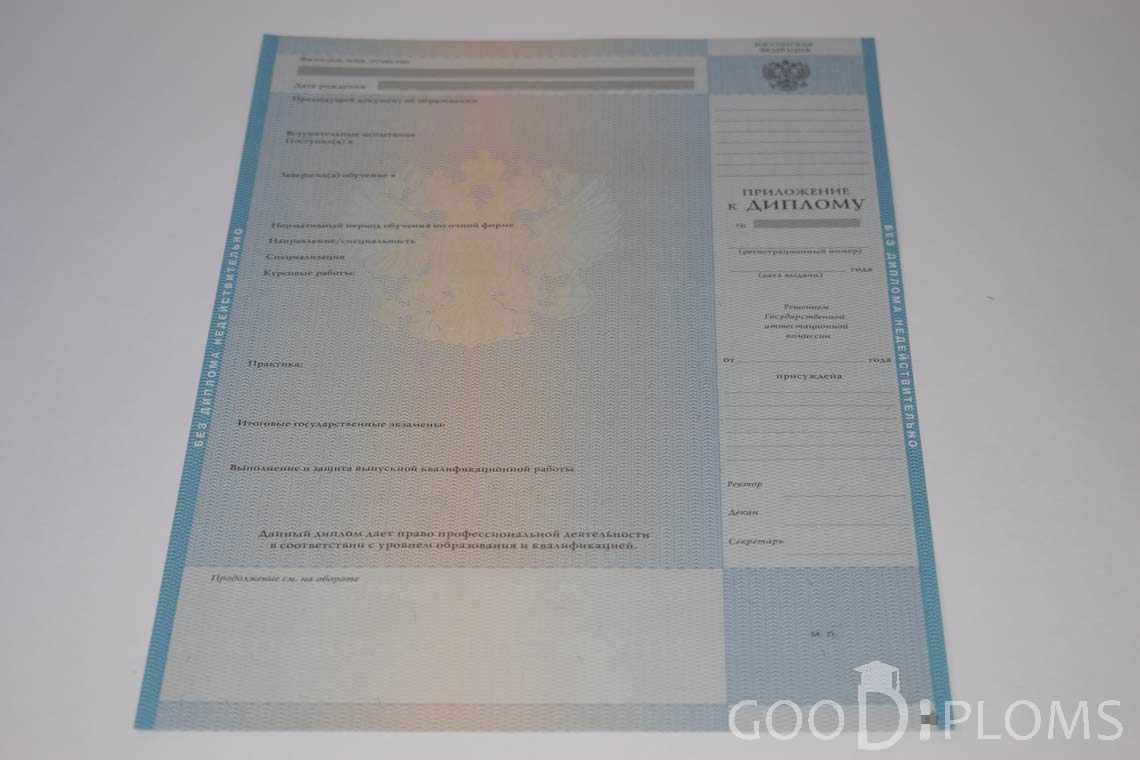 Приложение к Диплому о Высшем Образовании с Отличием - Долгопрудный